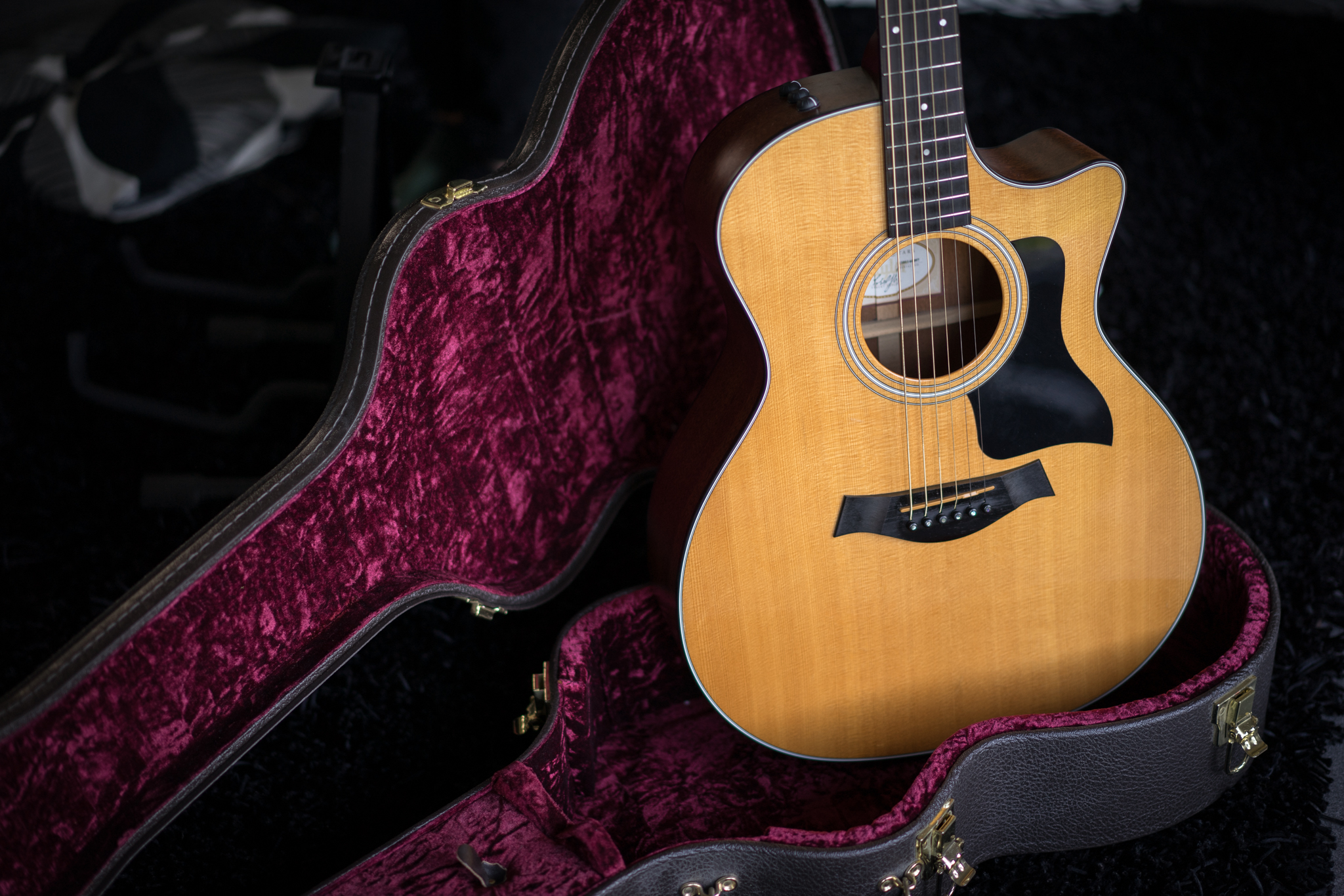 Taylor Guitars 314CE Akustikgitarre im Taylor Gitarrenkoffer mit rotem Samt. Foto von Julius Haring.